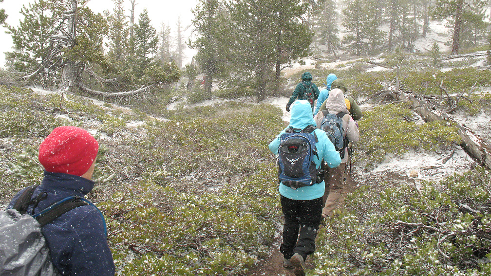 Hiking in the Snow